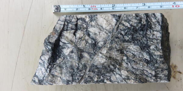 Uranium mineralized drill core, Coles Hill deposit, Virginia